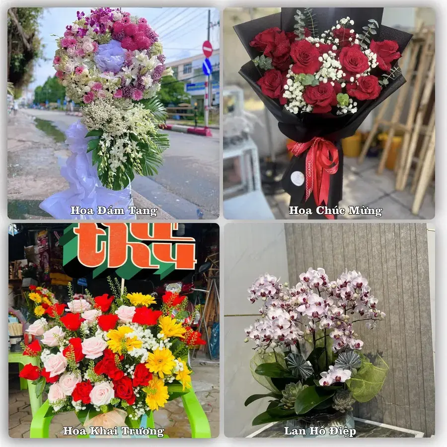 Shop hoa tươi Gành Hào, Đông Hải – Giao tận nơi trong 2 giờ
