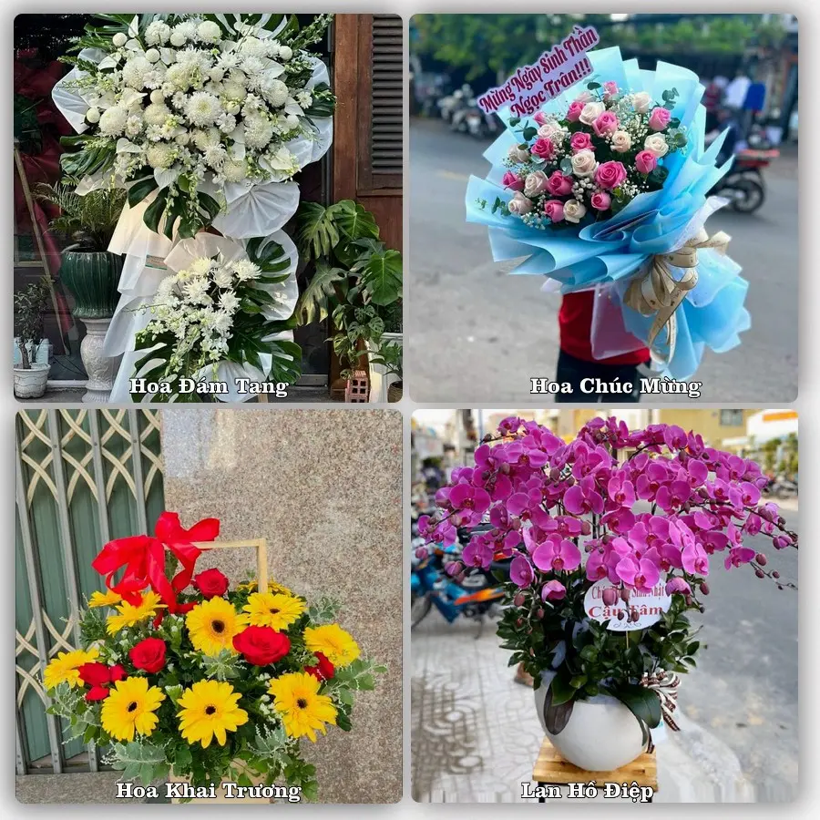 Tư vấn chọn hoa theo từng dịp tại Gành Hào, Đông Hải