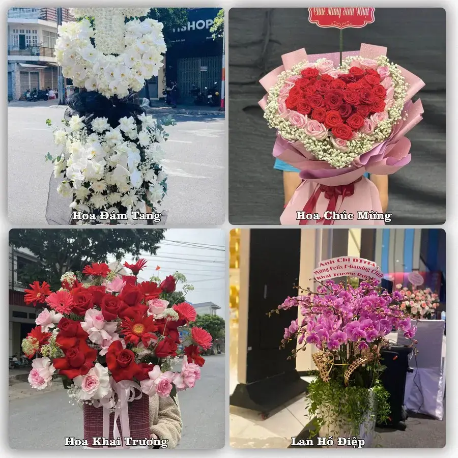 Đặt hoa online giao tận nơi tại Hòa Bình