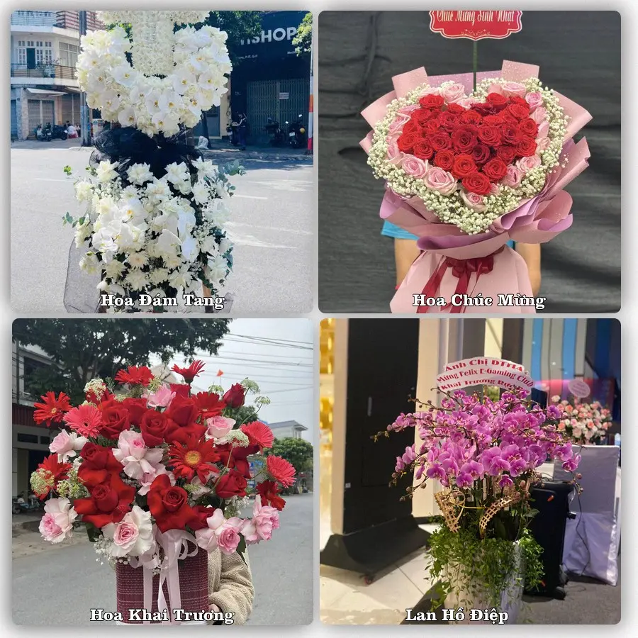 Đặt hoa online giao tận nơi tại Hòa Bình