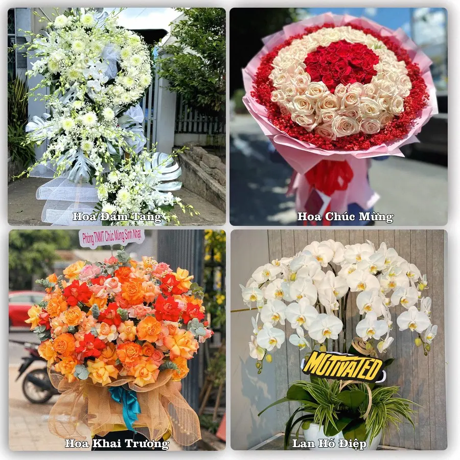 Mẫu hoa tươi dành cho khách đặt hoa tại Kế Sách