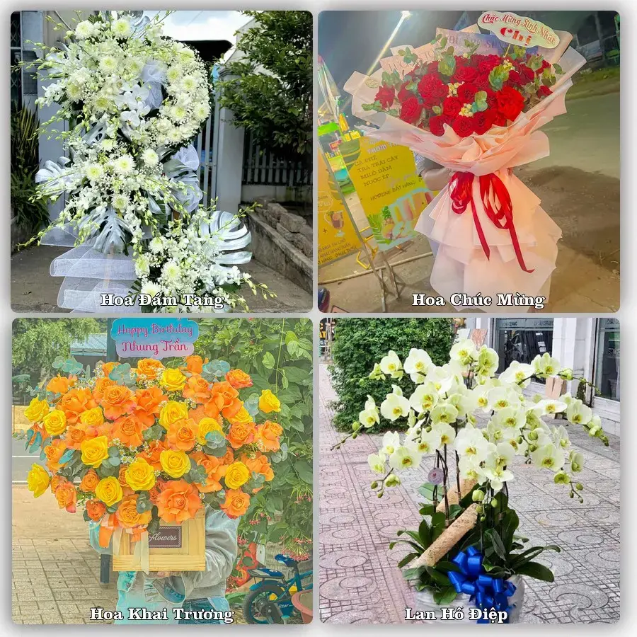 Shop hoa tươi Lịch Hội Thượng, Trần Đề – Giao tận nơi trong 2 giờ