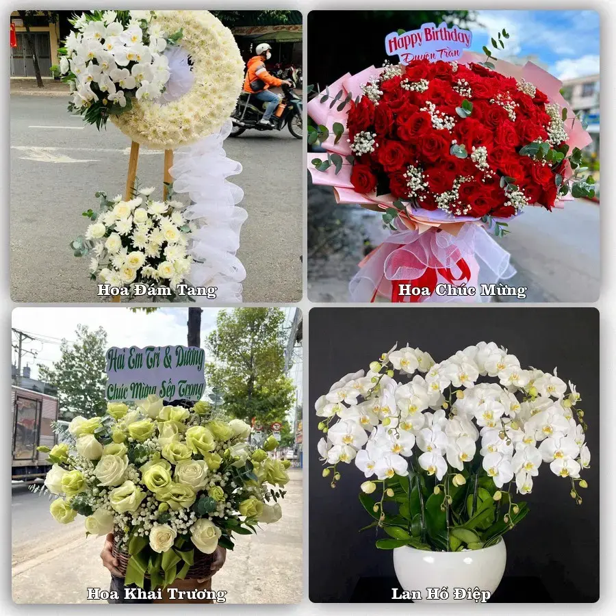 Tư vấn chọn hoa theo từng dịp tại Lịch Hội Thượng, Trần Đề