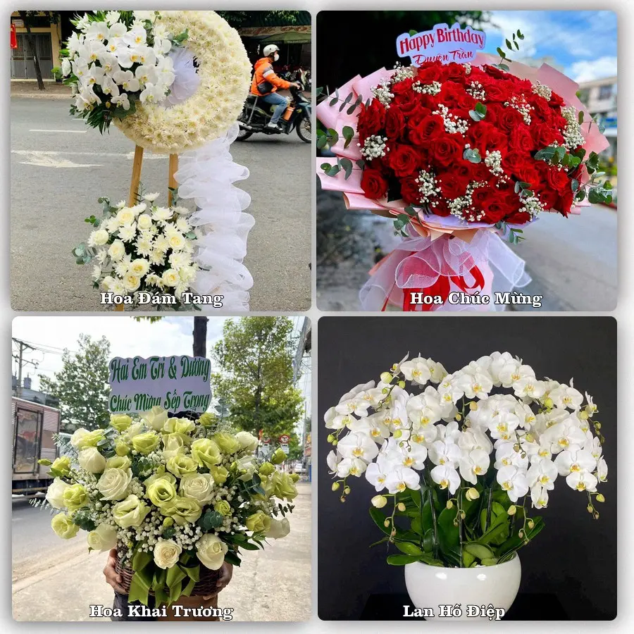 Tư vấn chọn hoa theo từng dịp tại Lịch Hội Thượng, Trần Đề