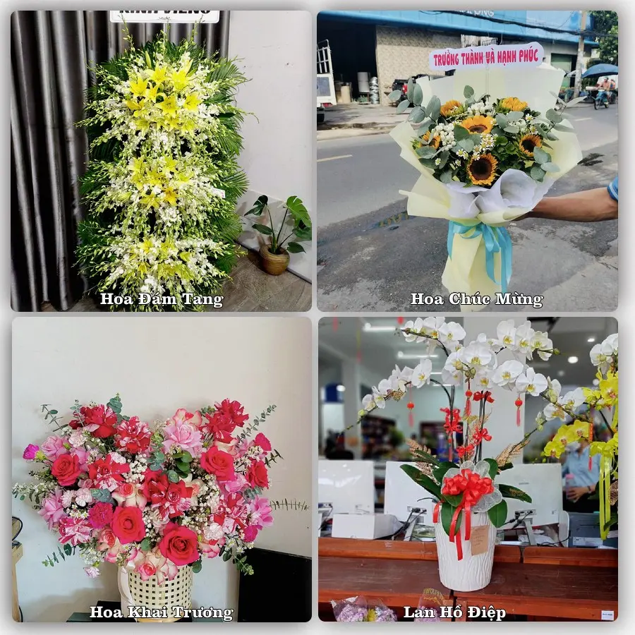 Đặt hoa online giao tận nơi tại Long Phú