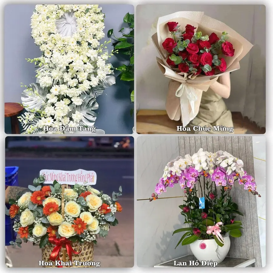 Tư vấn chọn hoa theo từng dịp tại Năm Căn