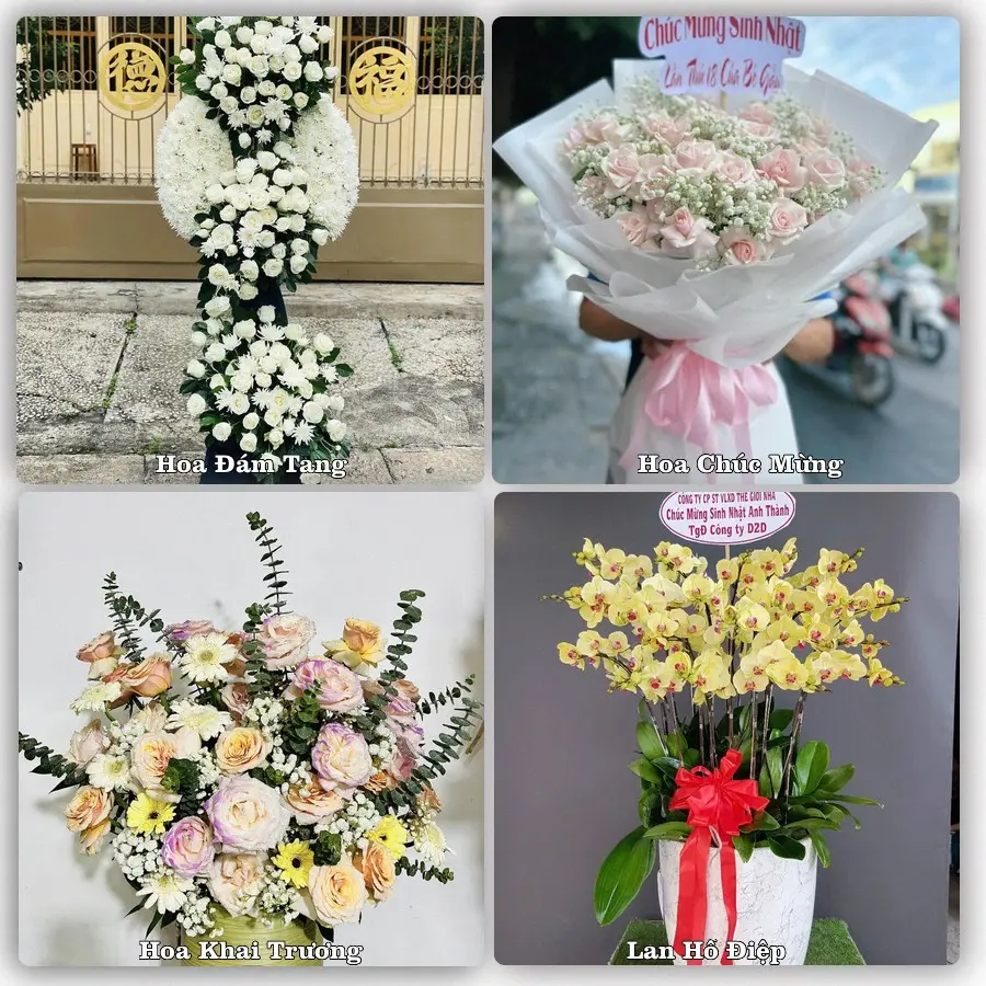 Tư vấn chọn hoa theo từng dịp tại Ngan Dừa, Hồng Dân