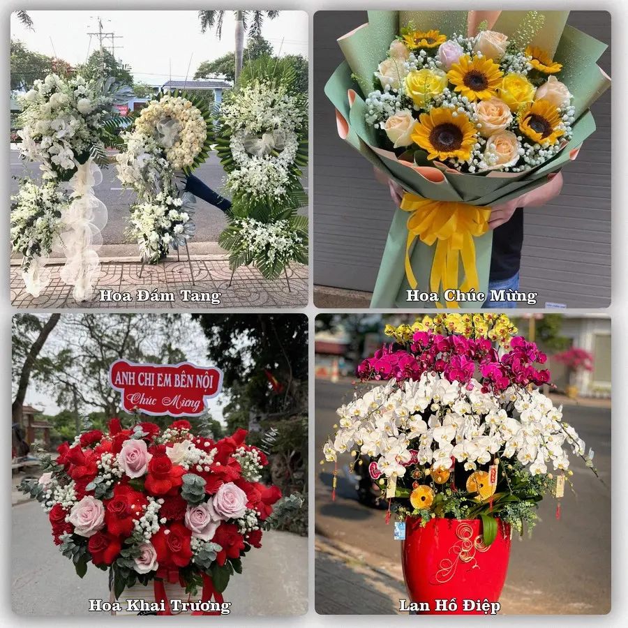 Đặt hoa online giao tận nơi tại Phú Lộc, Thạnh Trị