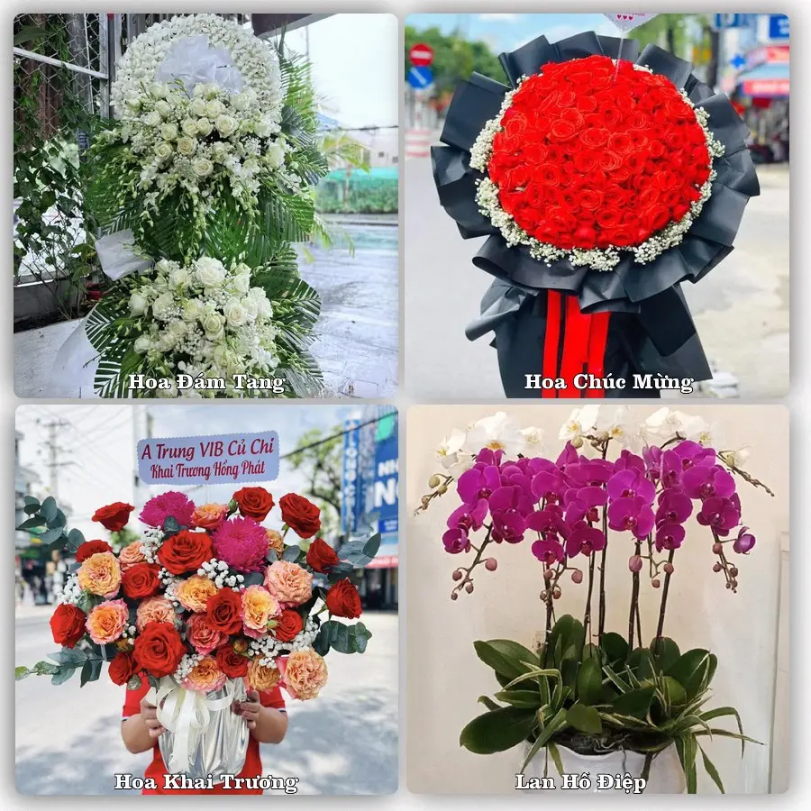 Tư vấn chọn hoa theo từng dịp tại Phú Lộc, Thạnh Trị