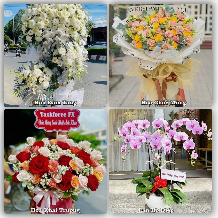 Tư vấn chọn hoa theo từng dịp tại Thanh An, Vĩnh Thạnh