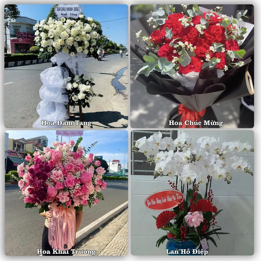 Mẫu hoa tươi dành cho khách đặt hoa tại Thới Bình