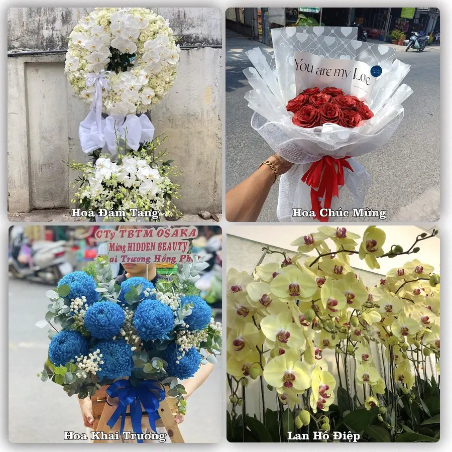 Tư vấn chọn hoa theo từng dịp tại Thứ Ba, An Biên