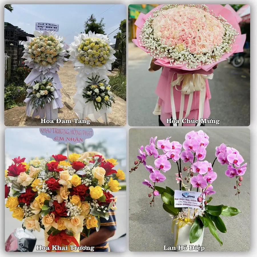 Tư vấn chọn hoa theo từng dịp tại Thứ Mười Một, An Minh