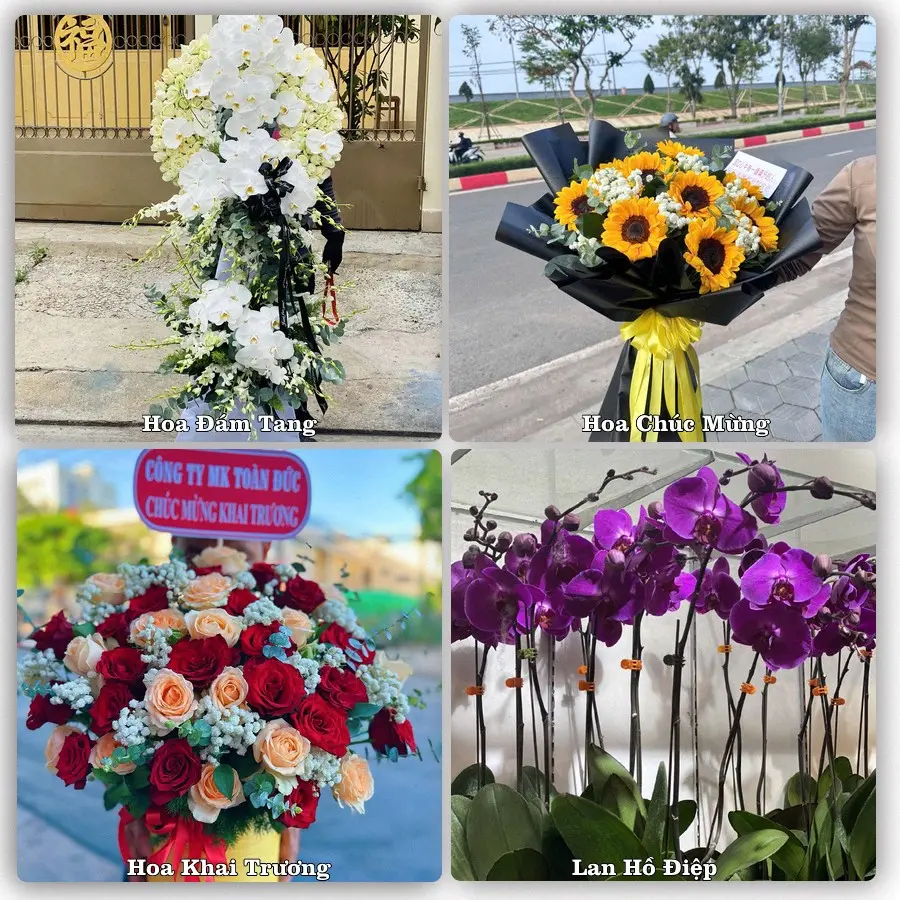 Tư vấn chọn hoa theo từng dịp tại Trần Đề