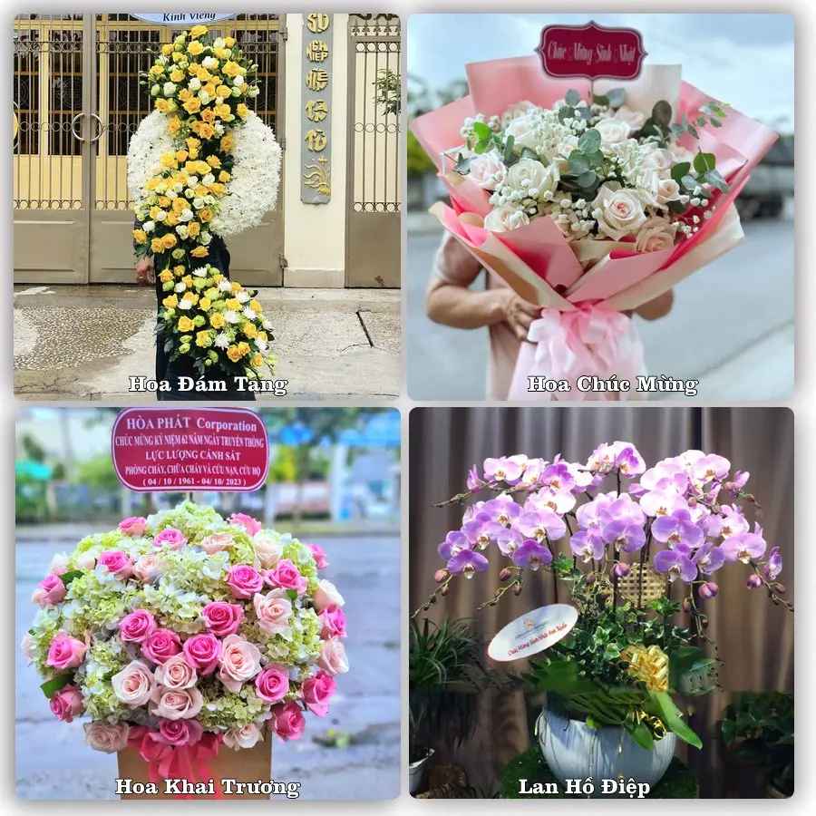Tư vấn chọn hoa theo từng dịp tại U Minh