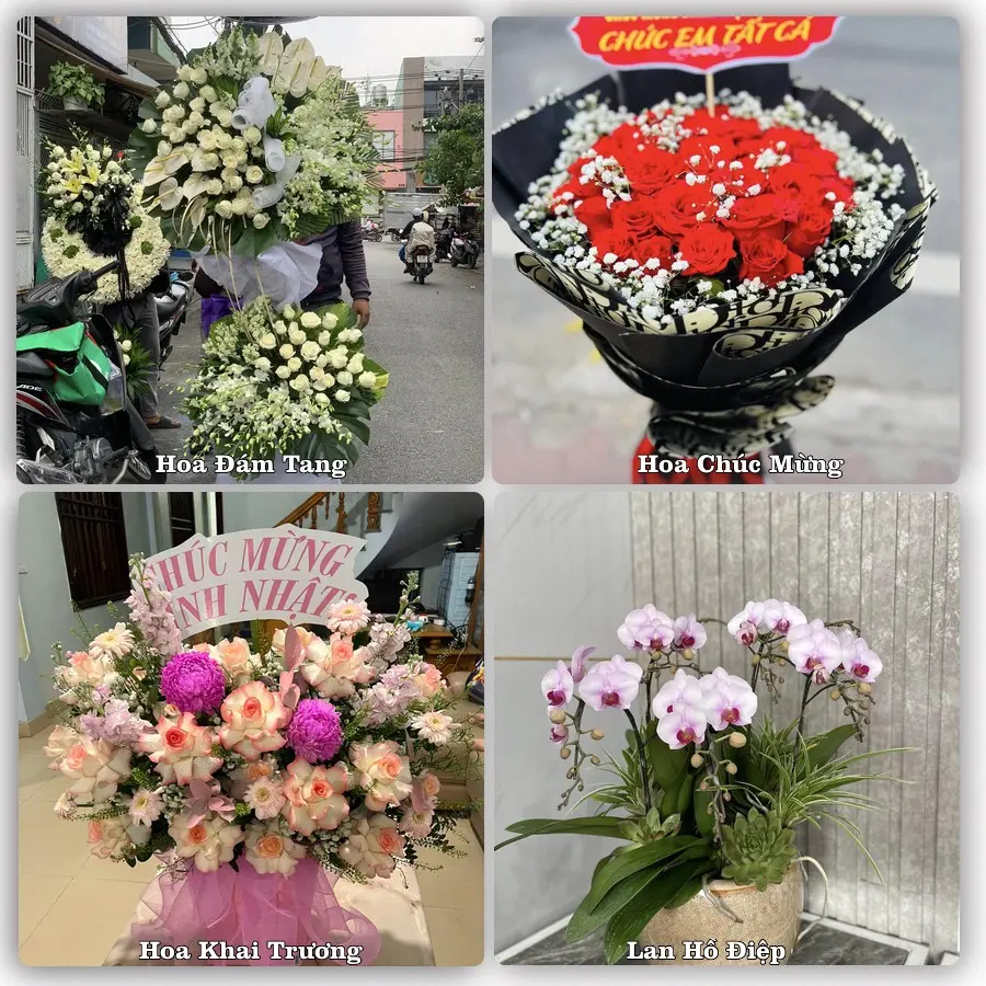 Đặt hoa online giao tận nơi tại Vĩnh Thuận