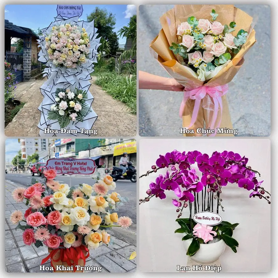 Mẫu hoa tươi dành cho khách đặt hoa tại Vĩnh Viễn, Long Mỹ