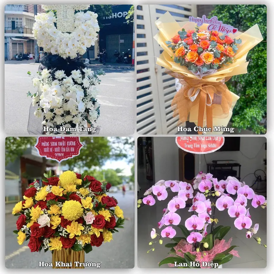 Mẫu hoa tươi dành cho khách đặt hoa tại An Nhơn, Bình Định
