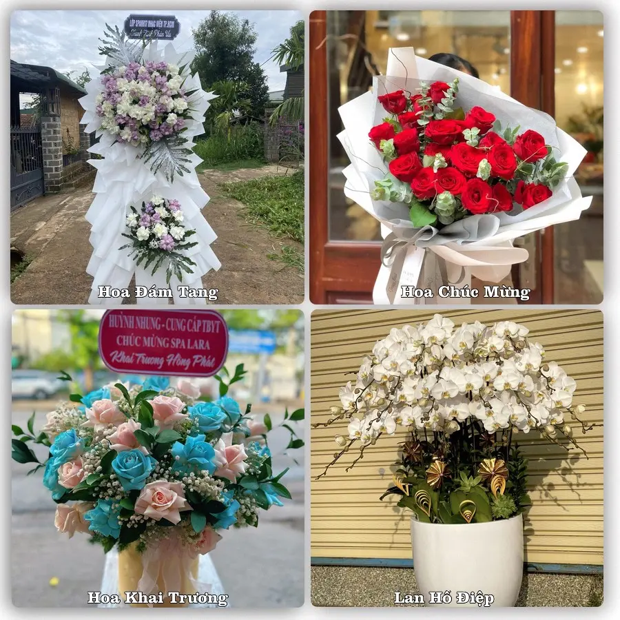 Tư vấn chọn hoa theo từng dịp tại An Nhơn, Bình Định