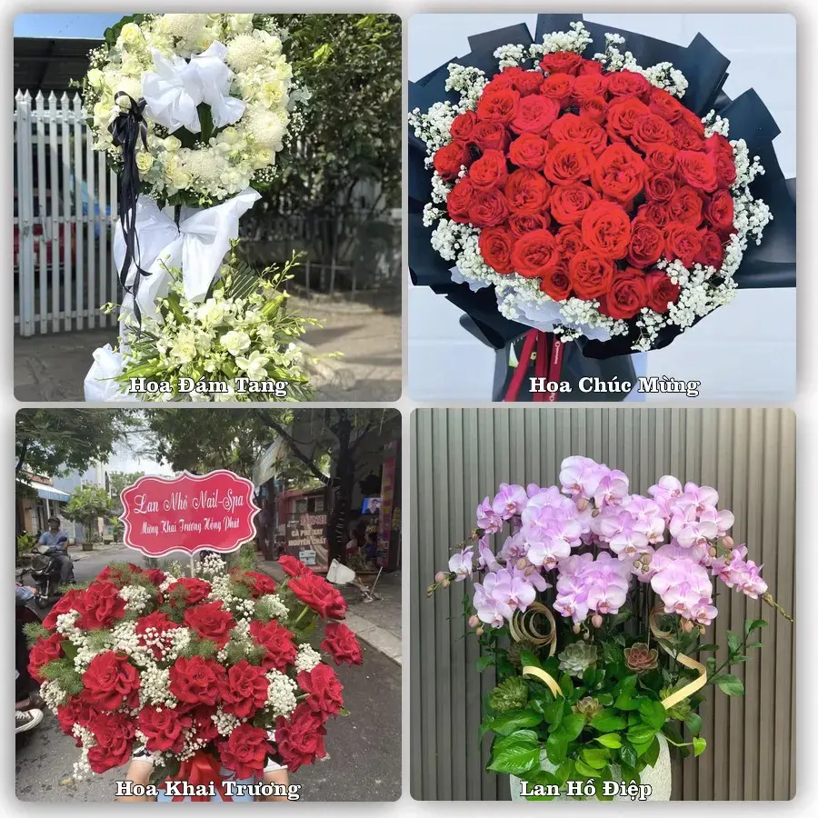 Shop hoa tươi Ba Đồn, Quảng Bình – Giao tận nơi trong 2 giờ