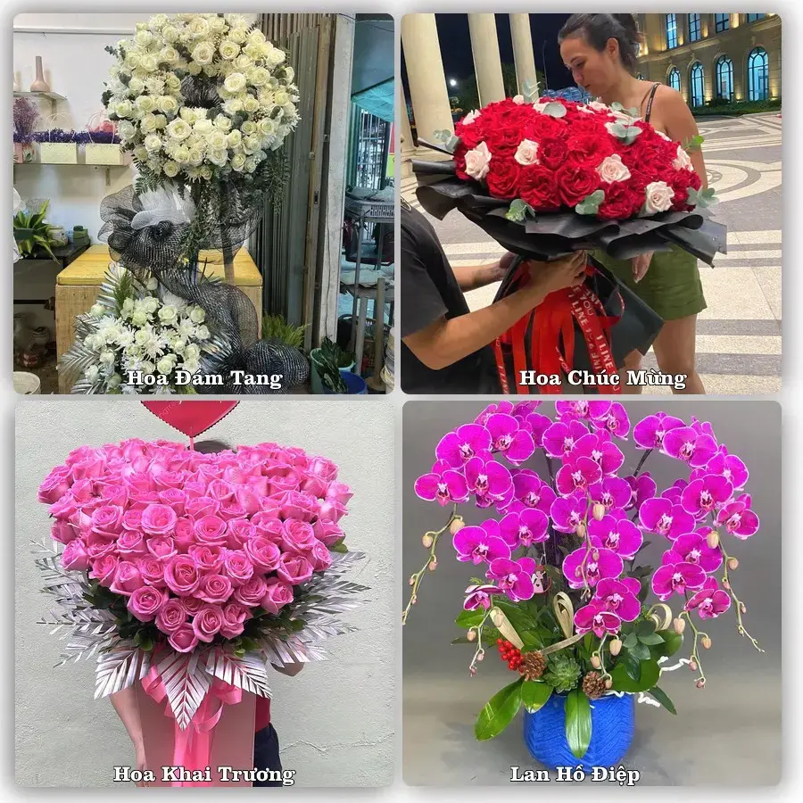 Tư vấn chọn hoa theo từng dịp tại Ba Đồn, Quảng Bình