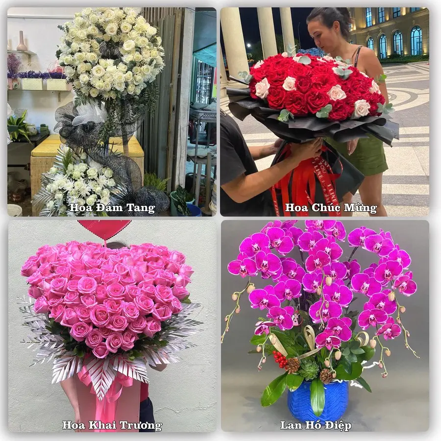 Tư vấn chọn hoa theo từng dịp tại Ba Đồn, Quảng Bình