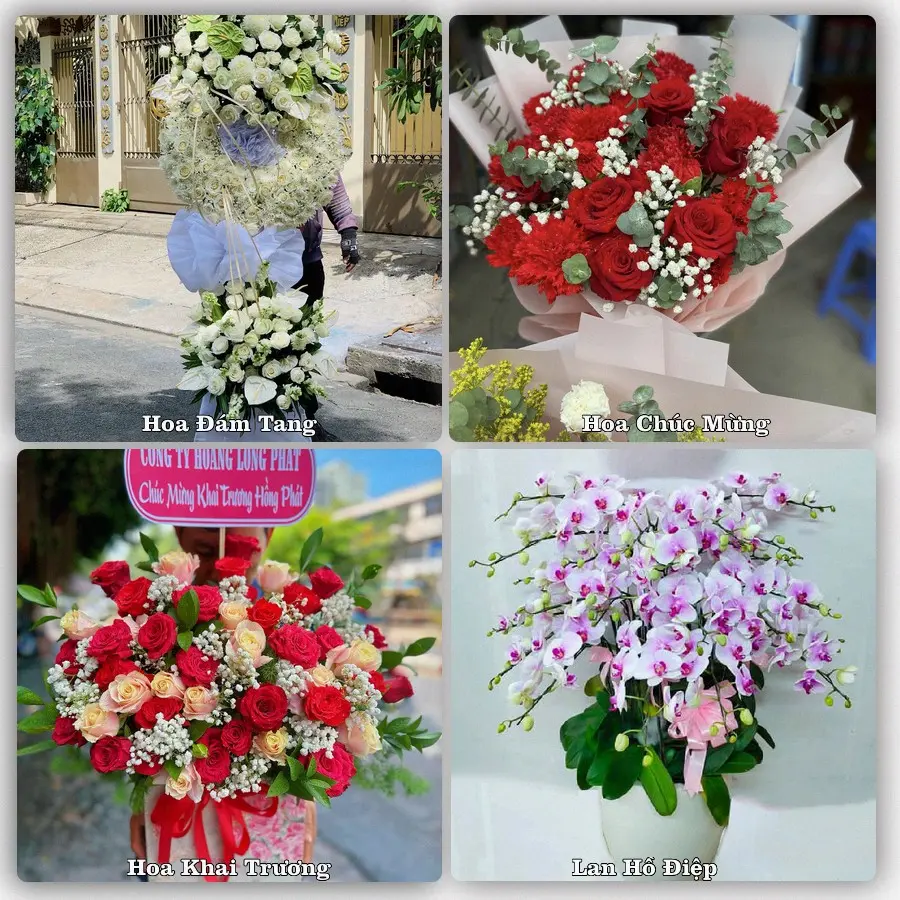 Đặt hoa online giao tận nơi tại Bình Long, Bình Phước