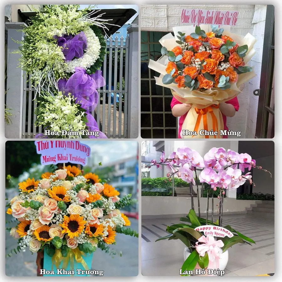 Mẫu hoa tươi dành cho khách đặt hoa tại Bình Long, Bình Phước