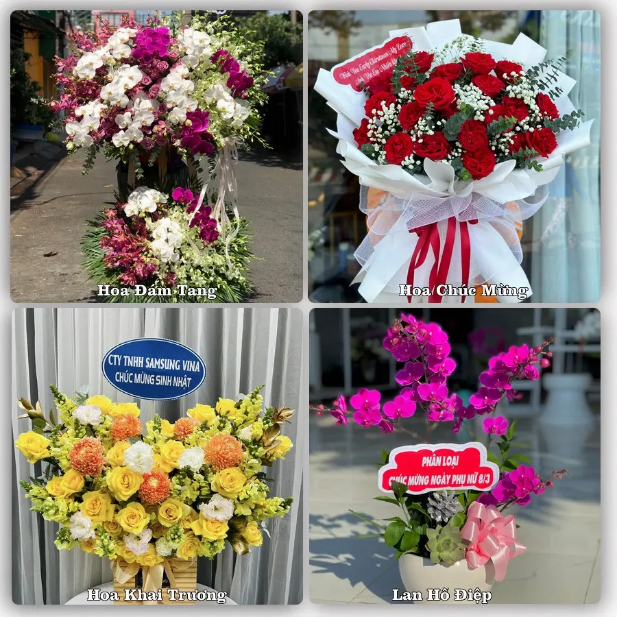 Mẫu hoa tươi dành cho khách đặt hoa tại Bình Minh, Vĩnh Long