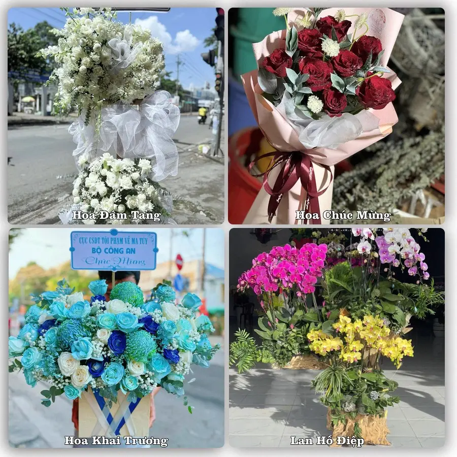 Mẫu hoa tươi dành cho khách đặt hoa tại Chơn Thành, Bình Phước