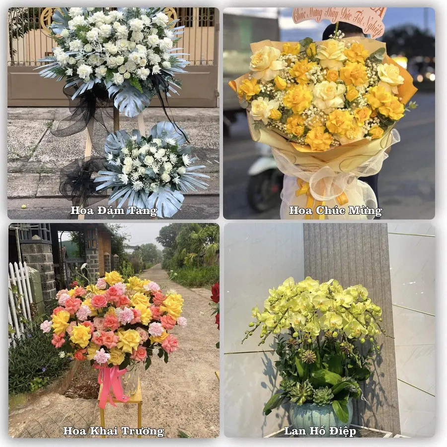 Tư vấn chọn hoa theo từng dịp tại Điện Bàn, Quảng Nam