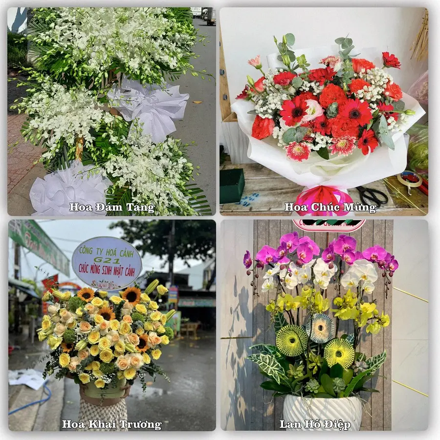 Tư vấn chọn hoa theo từng dịp tại Đông Hòa, Phú Yên