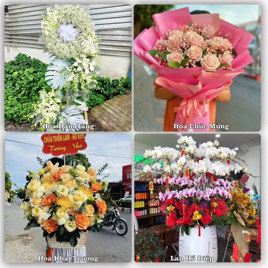 Mẫu hoa tươi dành cho khách đặt hoa tại Đông Triều, Quảng Ninh