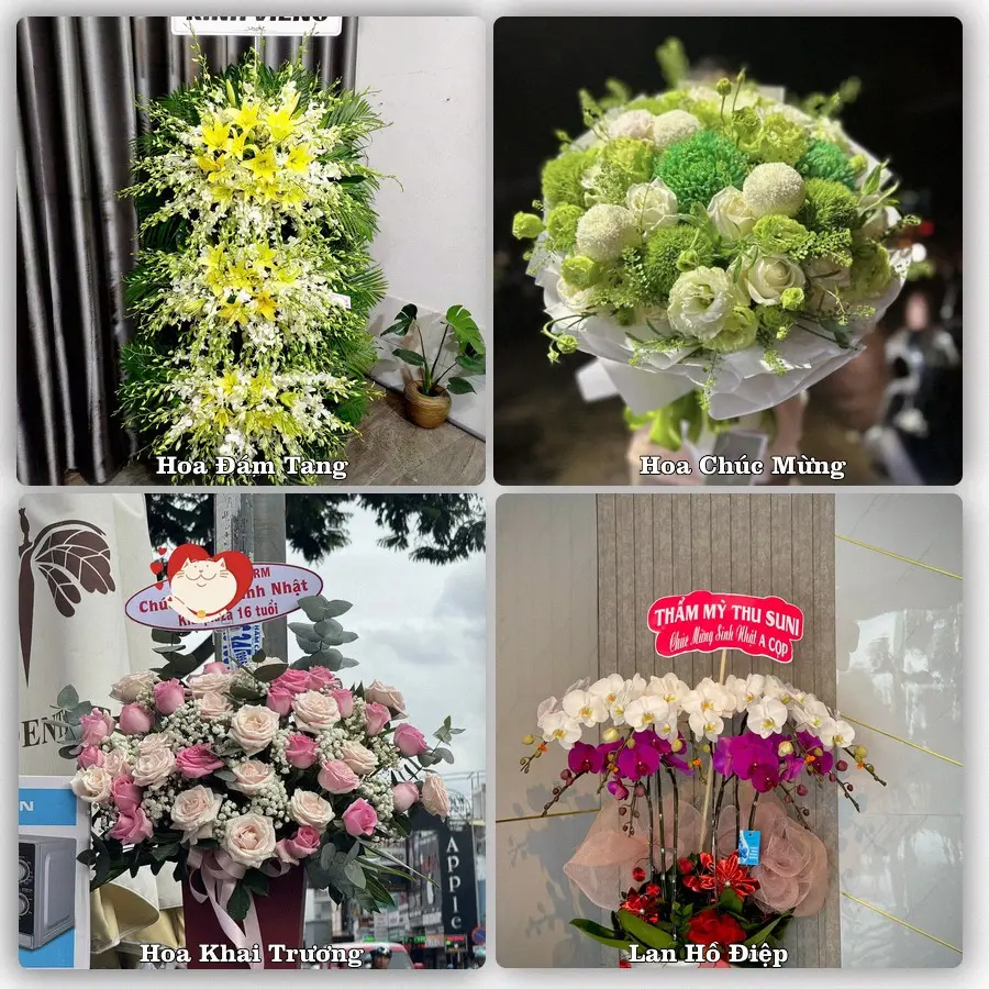 Tư vấn chọn hoa theo từng dịp tại Đông Triều, Quảng Ninh
