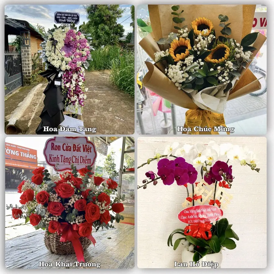 Mẫu hoa tươi dành cho khách đặt hoa tại Đức Phổ, Quảng Ngãi