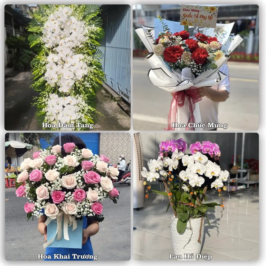 Tư vấn chọn hoa theo từng dịp tại Đức Phổ, Quảng Ngãi