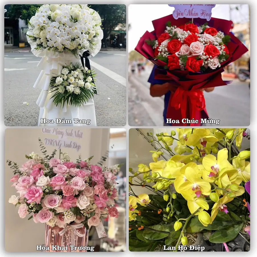 Tư vấn chọn hoa theo từng dịp tại Duyên Hải, Trà Vinh