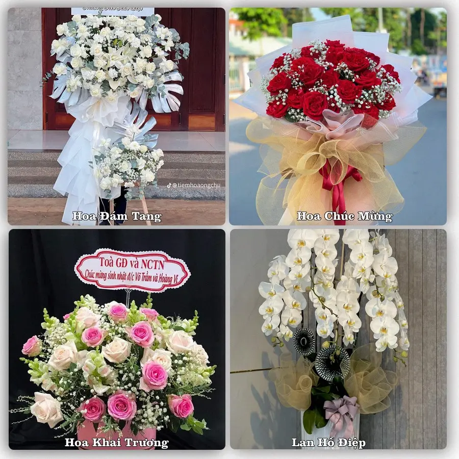 Tư vấn chọn hoa theo từng dịp tại Giá Rai, Bạc Liêu