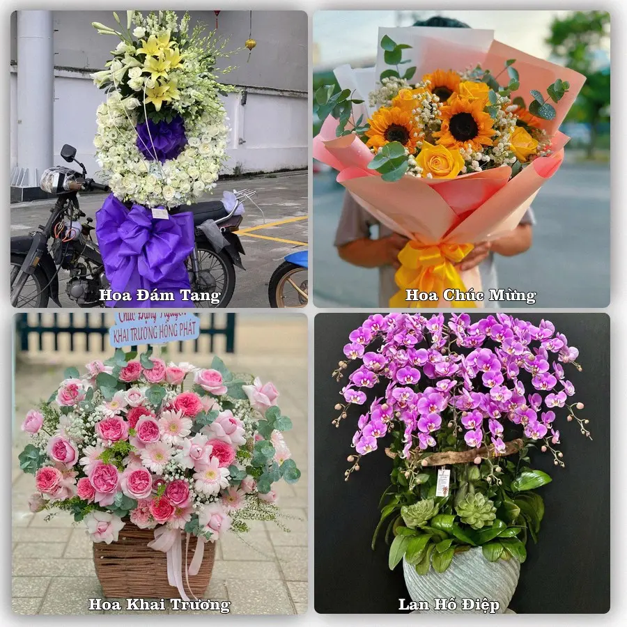 Mẫu hoa tươi dành cho khách đặt hoa tại Hòa Thành, Tây Ninh