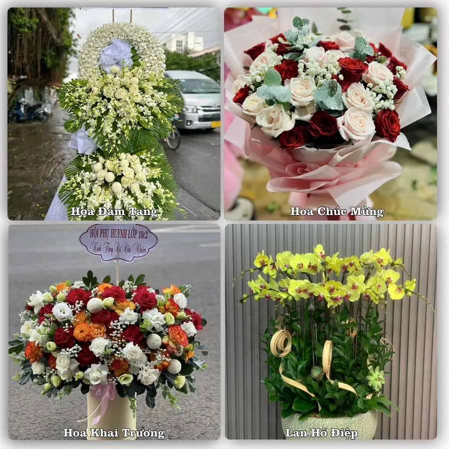 Tư vấn chọn hoa theo từng dịp tại Hòa Thành, Tây Ninh