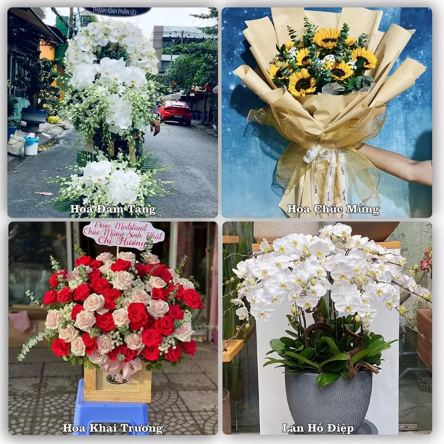 Đặt hoa online giao tận nơi tại Hoài Nhơn, Bình Định