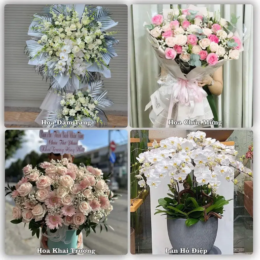 Shop hoa tươi Hoài Nhơn, Bình Định – Giao tận nơi trong 2 giờ