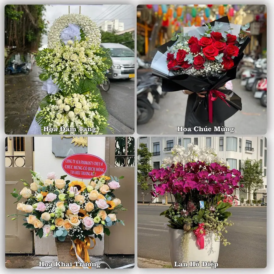 Tư vấn chọn hoa theo từng dịp tại Hoài Nhơn, Bình Định