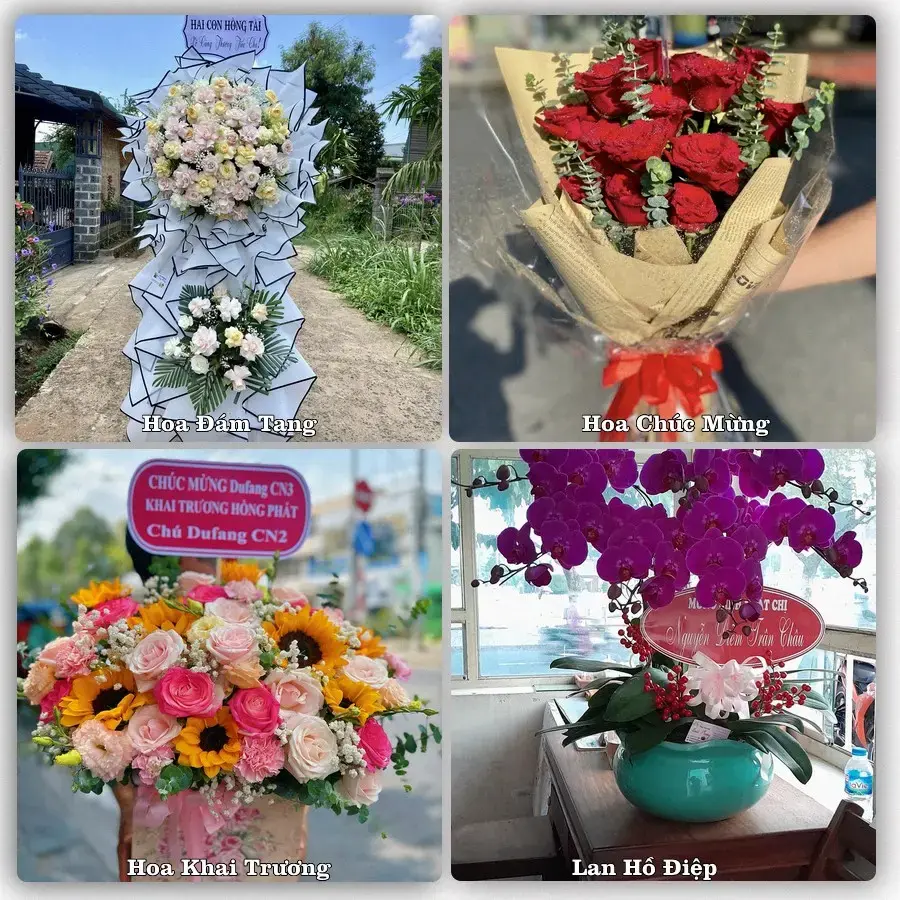 Shop hoa tươi Hoàng Mai, Nghệ An – Giao tận nơi trong 2 giờ