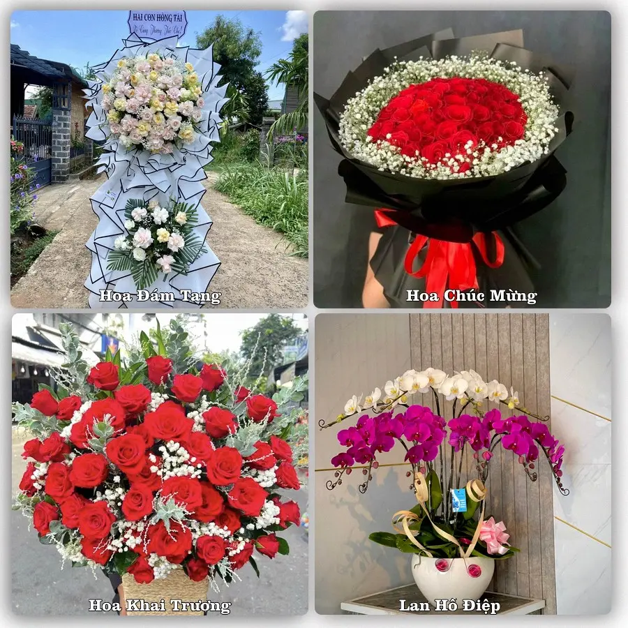 Tư vấn chọn hoa theo từng dịp tại Hoàng Mai, Nghệ An