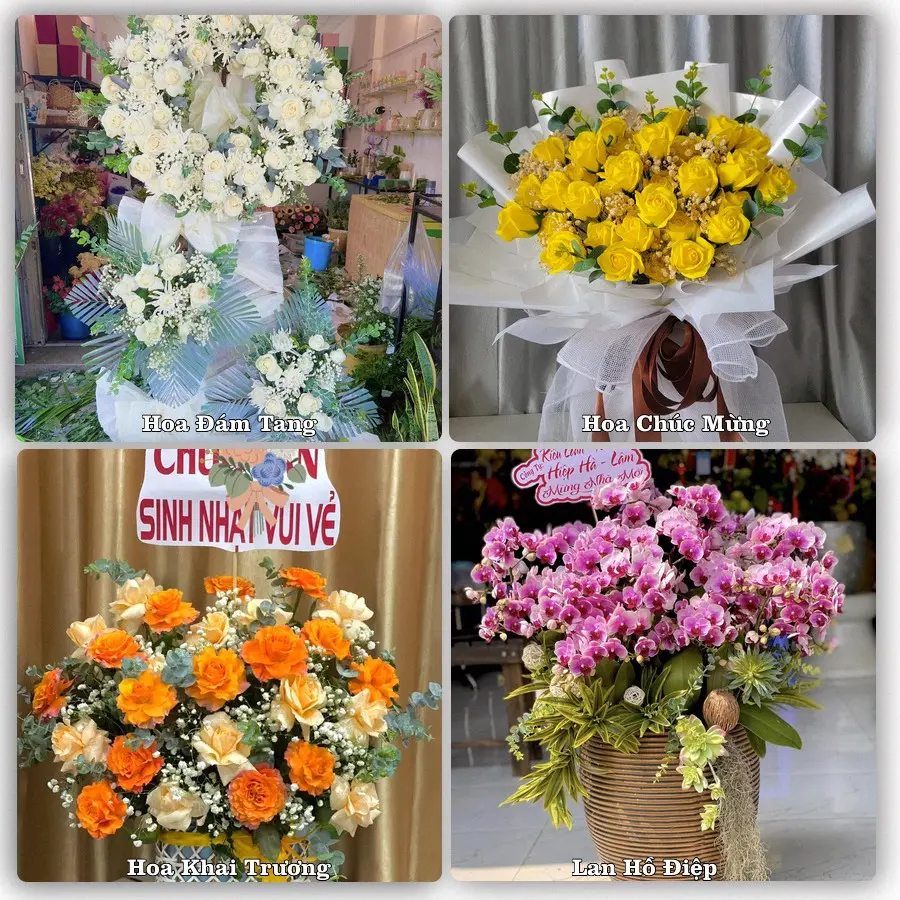 Tư vấn chọn hoa theo từng dịp tại Hồng Lĩnh, Hà Tĩnh