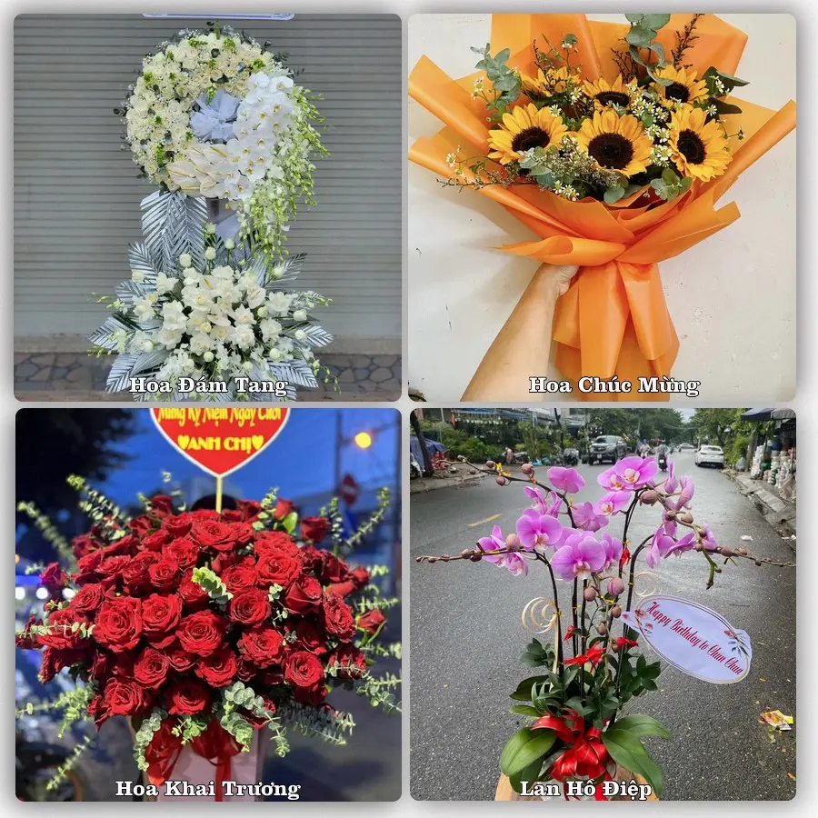Mẫu hoa tươi dành cho khách đặt hoa tại Hương Thủy, Thừa Thiên Huế