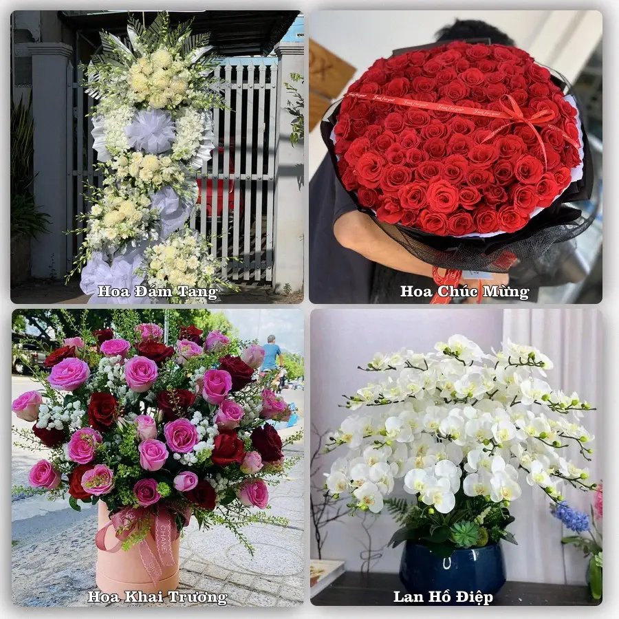 Mẫu hoa tươi dành cho khách đặt hoa tại Kinh Môn, Hải Dương