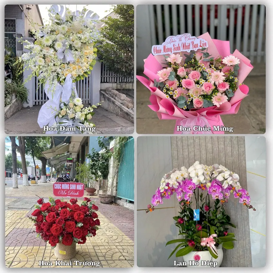 Mẫu hoa tươi dành cho khách đặt hoa tại Kỳ Anh, Hà Tĩnh