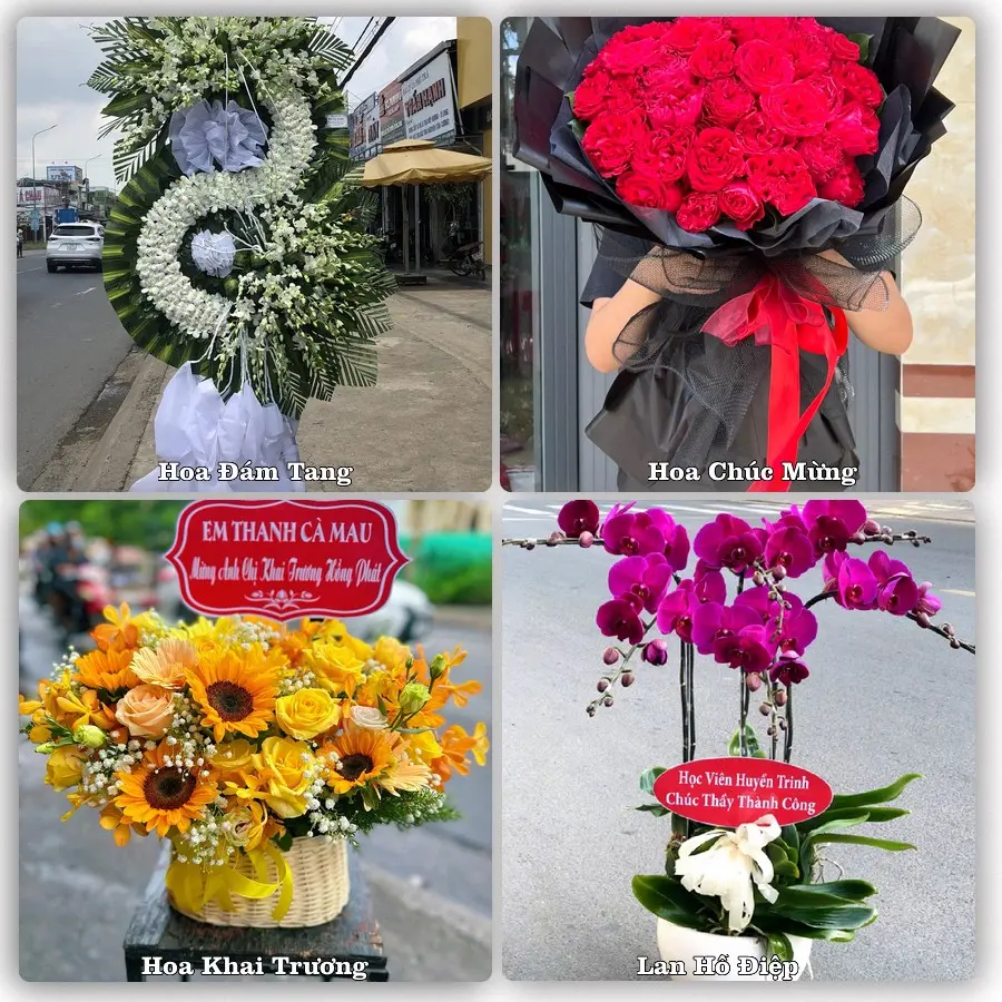 Tư vấn chọn hoa theo từng dịp tại Kỳ Anh, Hà Tĩnh